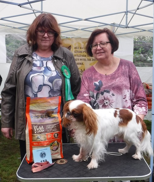 KV 2020-I, 11.7.2020, Městec Králové